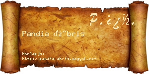 Pandia Ábris névjegykártya